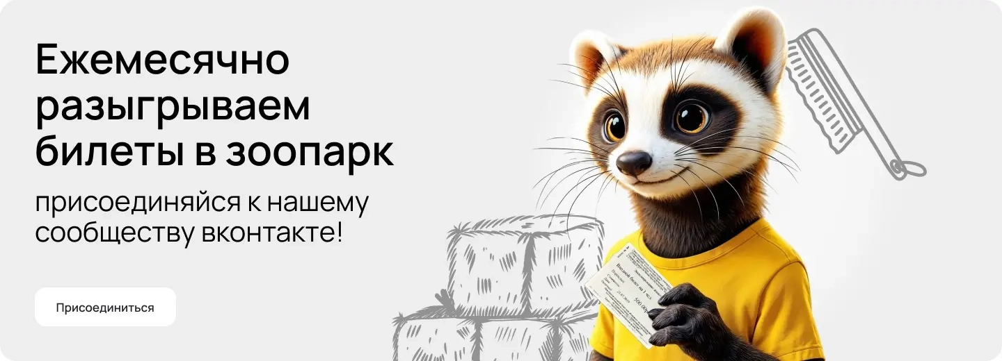 Билеты розыгрыш